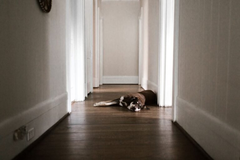 Doors and the Hallway Problem